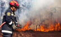 Este 1 de marzo inicia la temporada de incendios, ¿en Mérida se han reportado conatos?