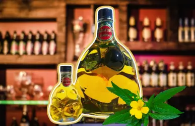 ¿Realmente funciona? La ciencia detrás del licor de damiana como afrodisíaco