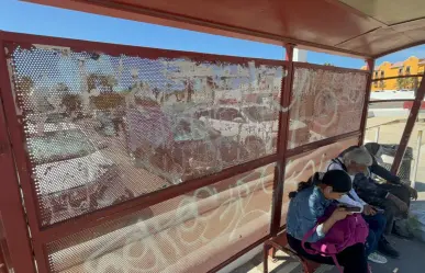 En Los Cabos proyectan rehabilitar 140 paraderos de transporte público en 2025