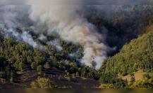 Durango, en el Top 10 de incendios forestales al arrancar el 2025