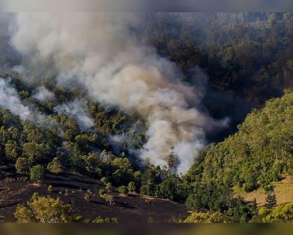 Durango, en el Top 10 de incendios forestales al arrancar el 2025