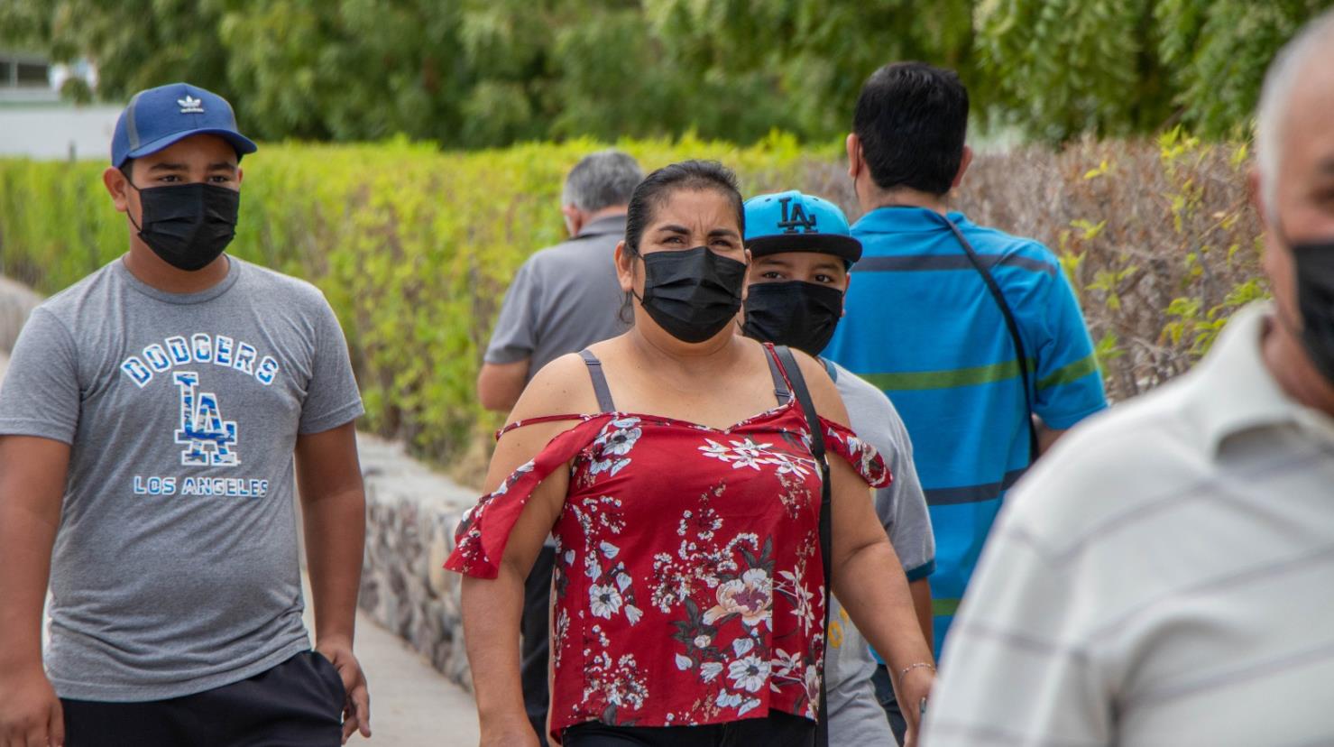 Hasta el momento, la tosferina no ha sido reportada en Baja California Sur en 2025, según la Secretaría de Salud estatal. Foto: POSTA BCS