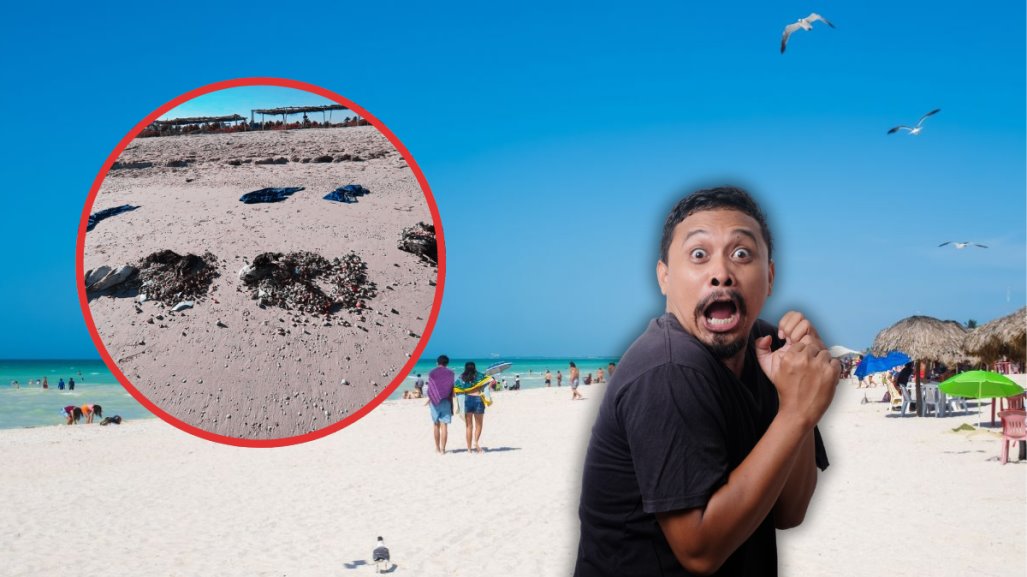 ¿Ritual en playa de Sisal? Hallan aves muertas a la orilla del mar