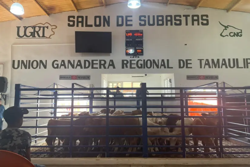 Tamaulipas sigue sin poder exportar directamente, debido a la falta de infraestructura requerida por las autoridades sanitarias estadounidenses. Foto: UGRT
