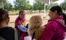 Esto es lo que debes de hacer para registrar a tu mascota con “EscoPet- ID”