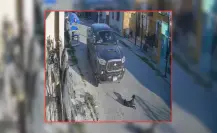 Perrita con discapacidad es atropellada por una camioneta en Kanasín