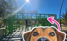 ¿Cuál es el mejor parque para pasear a tu mascota en Torreón, según la IA?