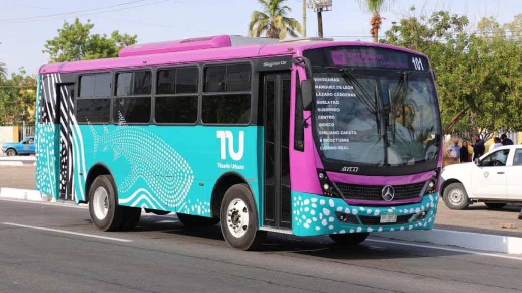 Tiburón Urbano recauda hasta 300 mil pesos por semana