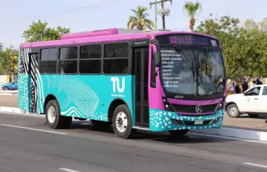 Tiburón Urbano recauda hasta 300 mil pesos por semana