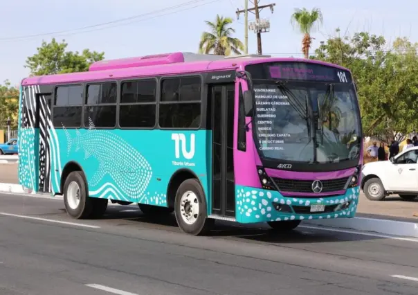 Tiburón Urbano recauda hasta 300 mil pesos por semana