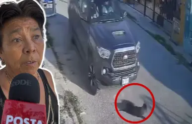 Vecinos exigen justicia tras atropello de una perrita en Kanasín