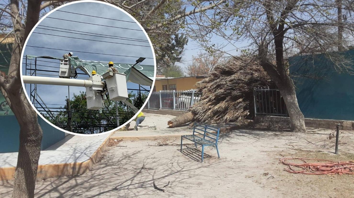 Las fuertes ráfagas de viento dejaron árboles caídos y otras afectaciones en Coahuila. (Fotografía: CFE | Redes sociales)