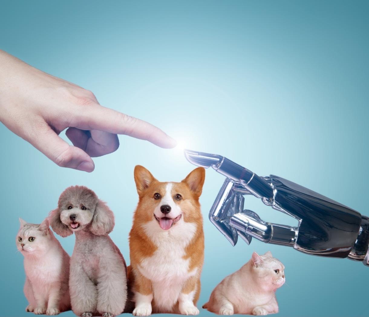 La Inteligencia Artificial ha sido ahora fundamental con el fin de ayudar a muchos, entre ellas las mascotas. Foto: Canva.