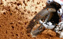 Aumentan accidentes de motociclistas en CDMX, cada semana mueren al menos 5