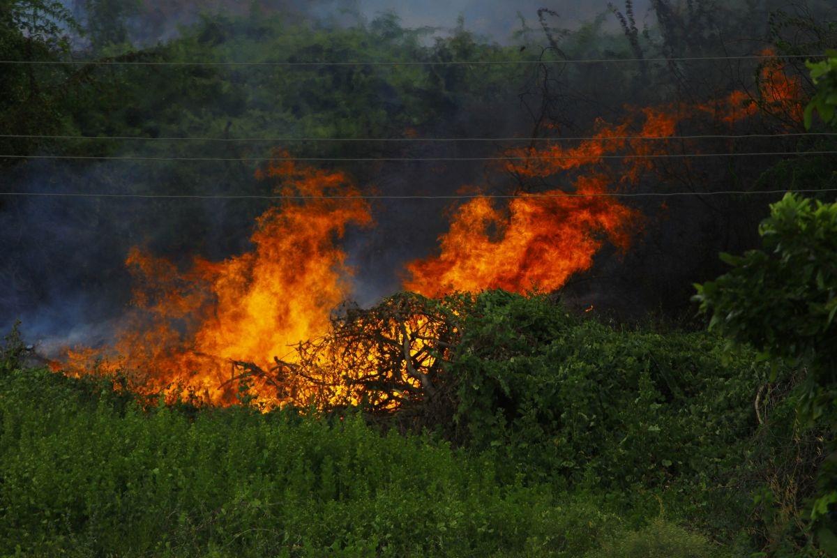 La temporada de alto riesgo de incendios ha comenzado, por lo que las autoridades han enfatizado la importancia de evitar acciones que puedan generar fuego. Foto: CANVA