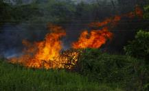 Protección Civil de Salinas Victoria emite recomendaciones para prevenir incendios