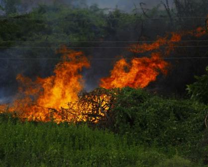 Protección Civil de Salinas Victoria emite recomendaciones para prevenir incendios