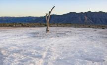 Viesca, el pueblo mágico en Coahuila con una vibra paranormal 