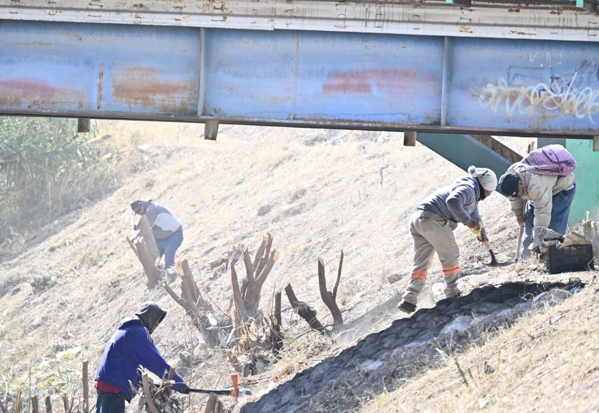 Limpieza en arroyo de Frontera / Foto: Información Coahuila