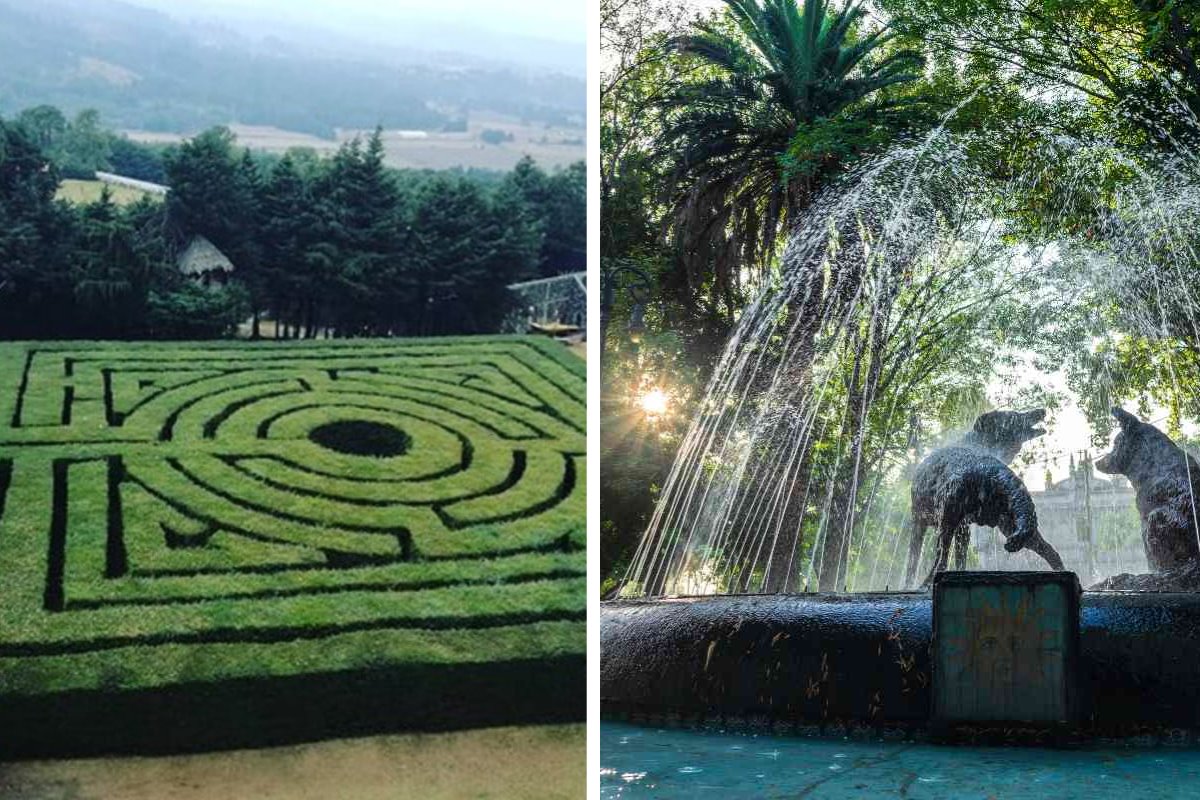 Laberinto del Ajusco y Desierto de los Leones. Foto: Cd Secreta | Canva