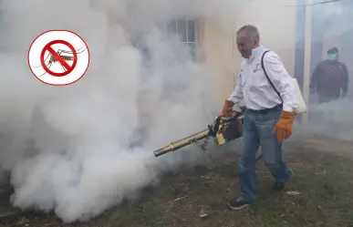 Previenen más contagios de dengue en la zona sur de Tamaulipas