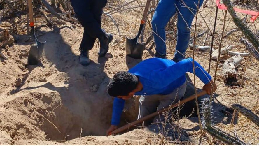 Los desaparecidos en BCS han sido localizados en fosas clandestinas; es un tema vigente. Foto: Búsqueda X La Paz.