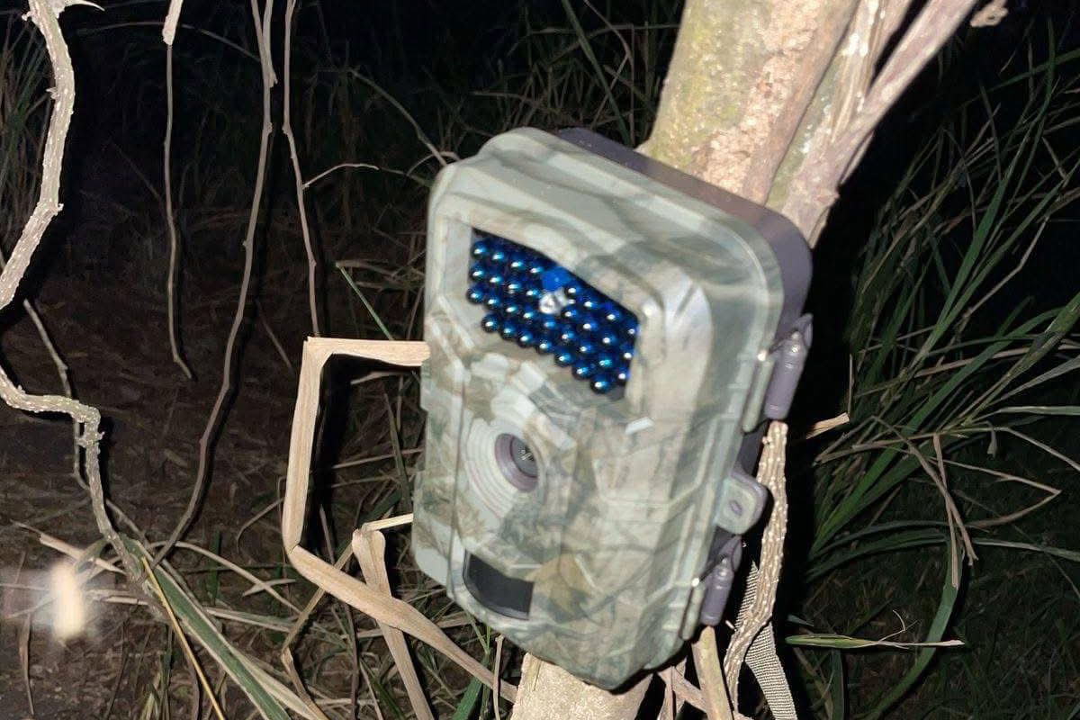 Cámara para la observación de fauna silvestre. Foto: Axel Hassel