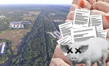 ¿Cómo afectan las granjas porcícolas al medio ambiente en Yucatán?