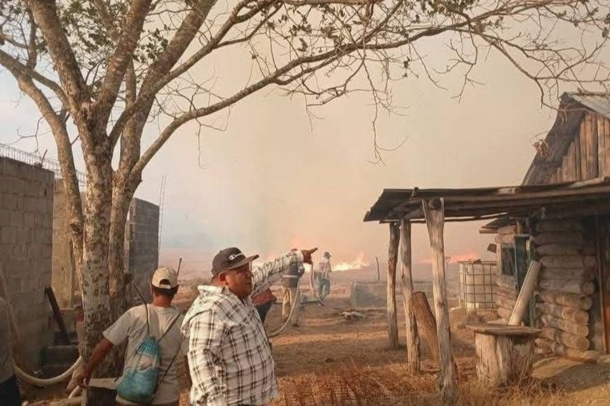 Se registra incendio en municipio de Tula, Tamaulipas | Foto: redes sociales