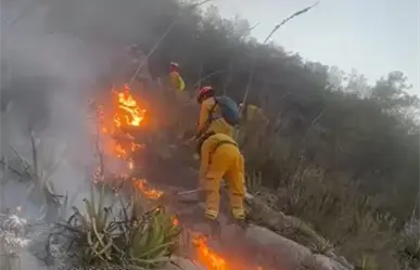 Protección Civil Nuevo León combate feroz incendio forestal en Cerro del Topo Chico