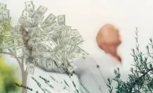 El ritual del Feng Shui para que el dinero y la abundancia entren a tu hogar