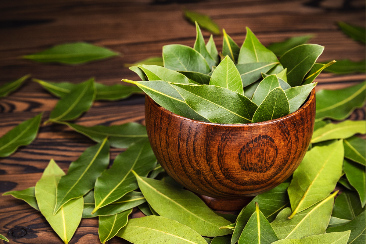 Ritual sencillo de Feng Shui para atraer dinero y buenos inicios. Foto: Canva