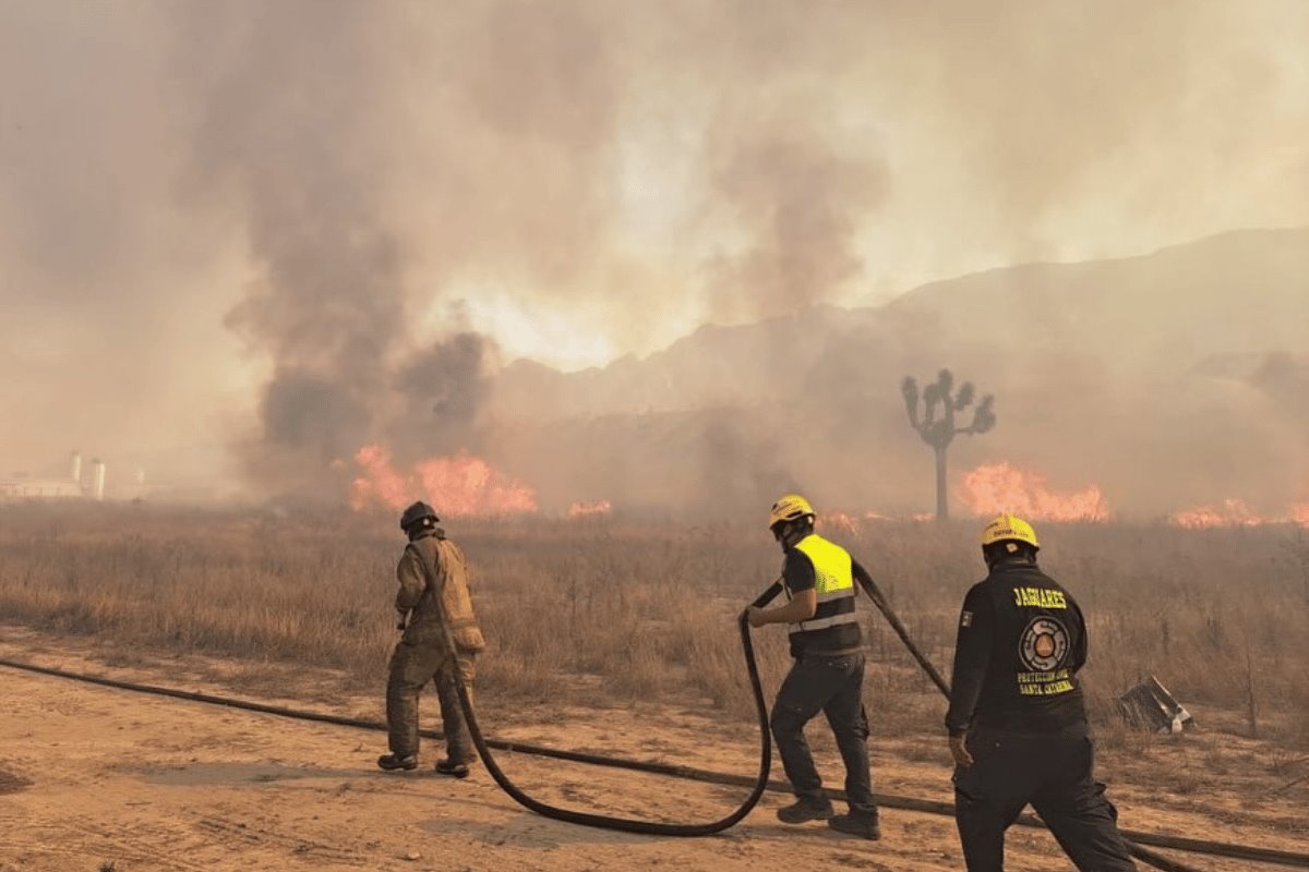 Los incendios han impactado directamente a un sector industrial y a la colonia Viñedos, donde habitantes del primer sector fueron evacuados como medida preventiva. Foto: Gobierno de Santa Catarina.