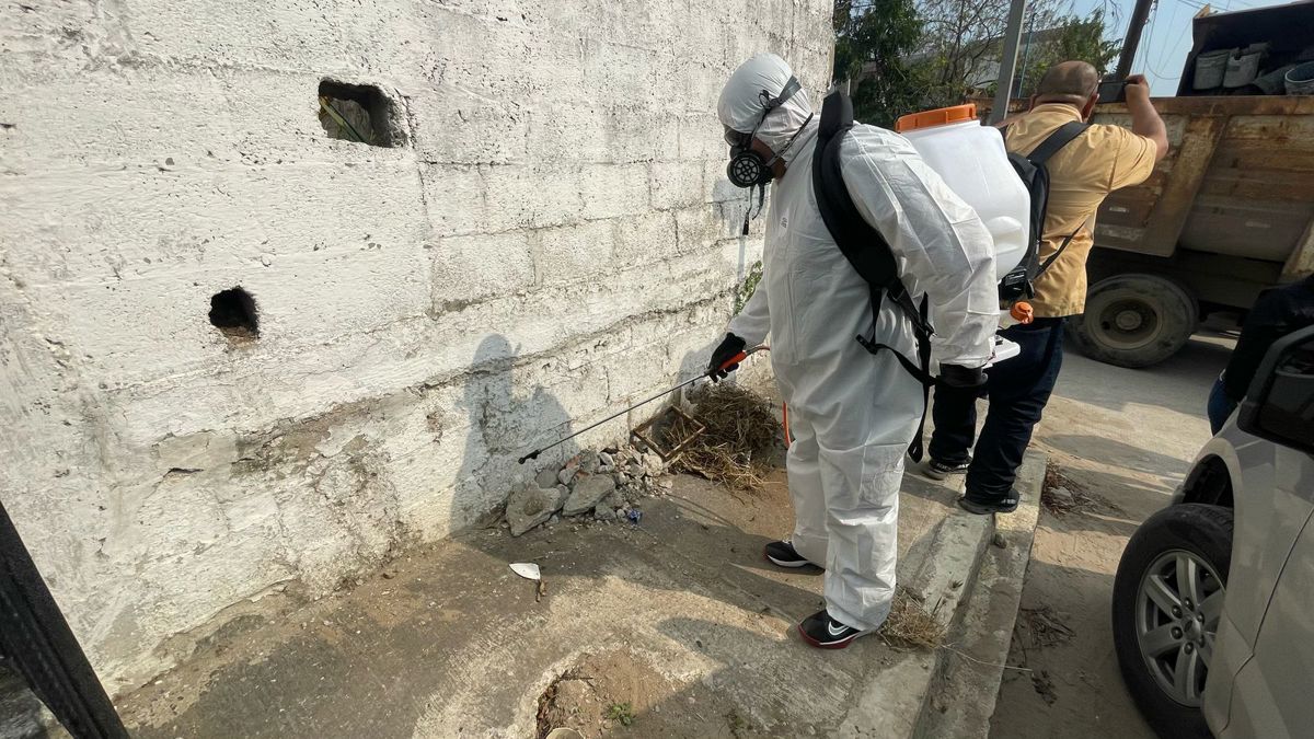 Personal de Salud fumigando. Foto: Redes Sociales