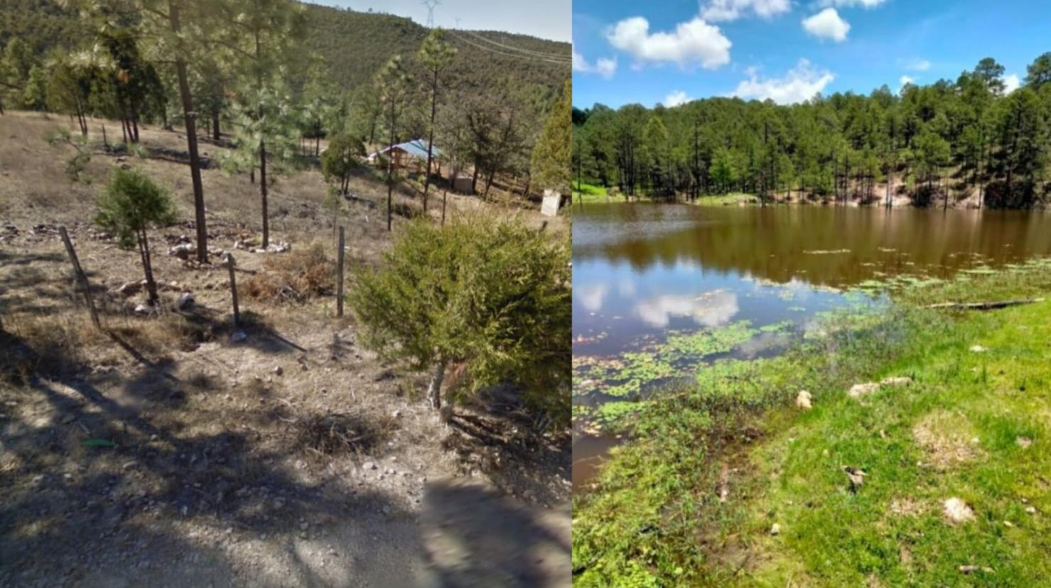 Foto: Captura de pantalla Street View Google Maps | Descubre 3 lugares ideales para realizar un día de campo junto a la carretera a Mazatlán.