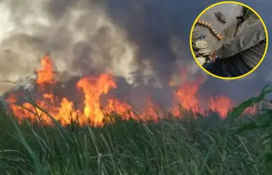 Cazadores furtivos provocan incendios en Tabasco