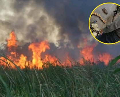 Cazadores furtivos provocan incendios en Tabasco