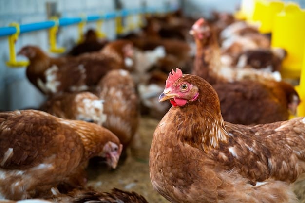 La ganadería comprende actividades de cría, cuidado, reproducción, engorda y uso de ganado bovino, porcino, ovino, caprino y aves de corral, así como el aprovechamiento de colmenas y la cría de équidos, pavos y conejos, entre otras especies. Foto: Freepik