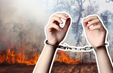 Incendios en Saltillo: ¿qué relación tienen con el consumo de sustancias?