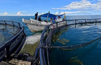 ¿Cuál es la importancia de la acuacultura en Yucatán?
