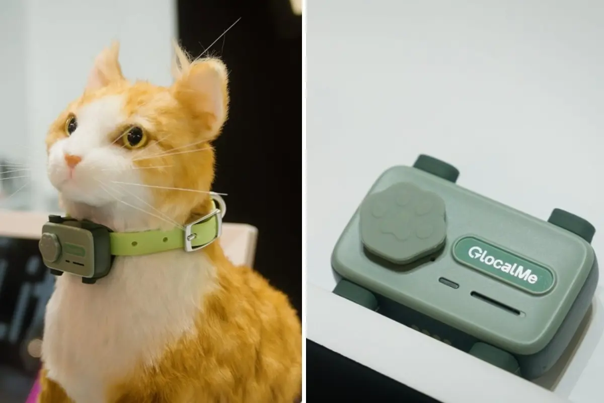El PetPhone promete revolucionar la interacción con tus mascotas. Foto: X @webtekno