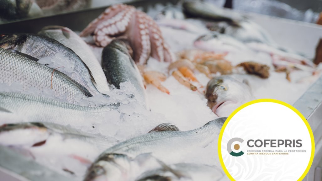 Cuaresma 2025: Bajo la lupa de la Cofepris negocios de venta de pescados y mariscos