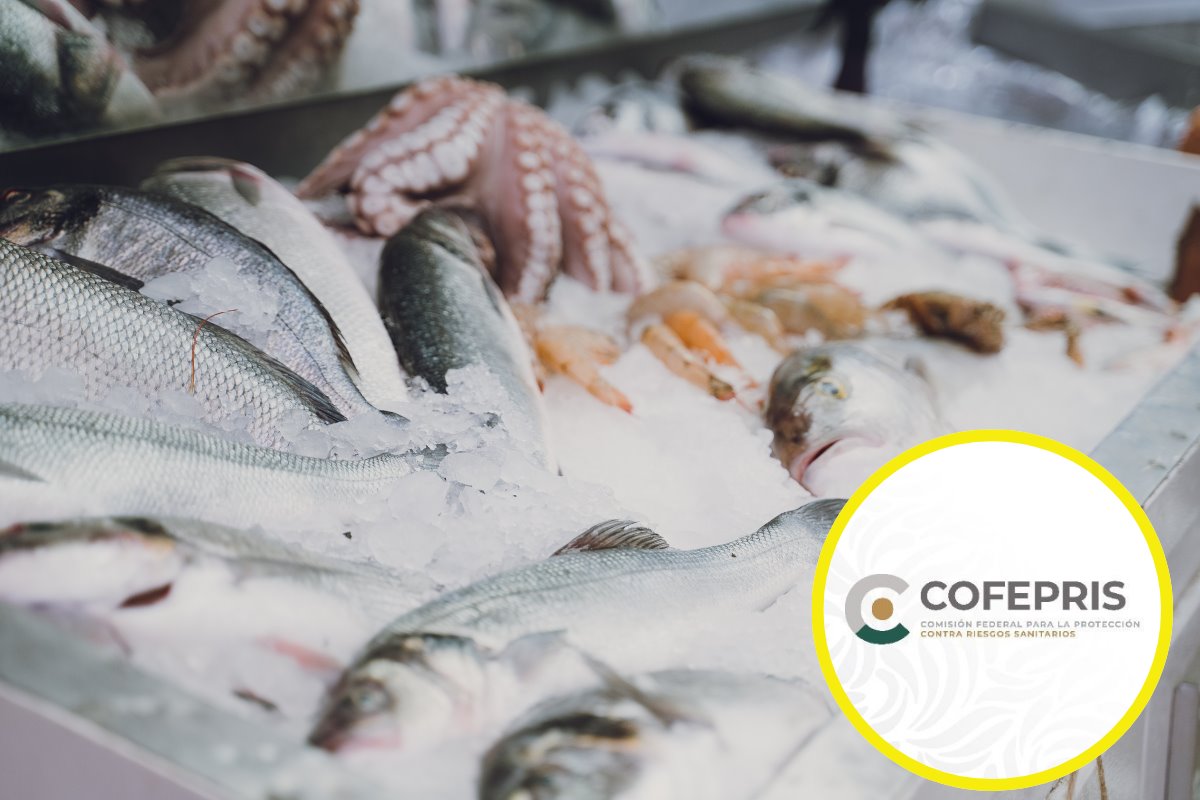 La Cofepris  vigilará el proceso y la comercialización de pescados, mariscos, alimentos preparados, así como del agua y hielo hasta el 27 de abril. Foto: Canva |Cofepris