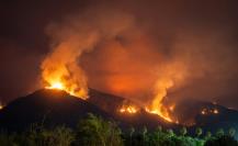 ¿Cuántos incendios forestales han ocurrido en México durante el 2025?