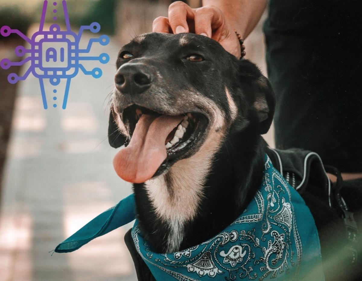 Las mascotas y su adiestramiento sean más sencillos con la Inteligencia Artificial. Foto: Canva.