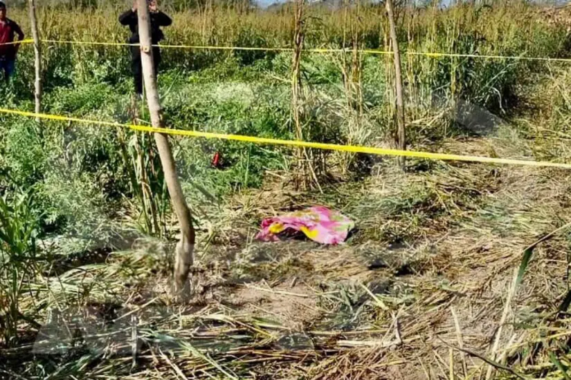 La menor fue arrollada por un tractor en una parcela. Foto: Carlos García