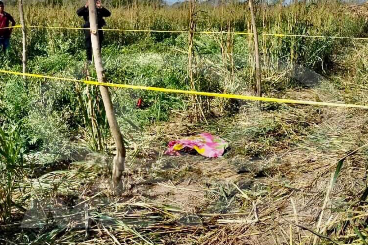 La menor fue arrollada por un tractor en una parcela. Foto: Carlos García