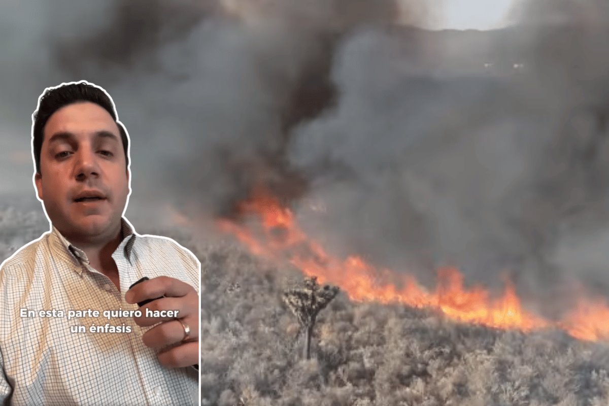 El alcalde hizo un llamado especial a la ciudadanía para evitar prácticas dañinas para el medio ambiente, recordando que provocar incendios puede conllevar penas de hasta 13 años de cárcel. Foto: Canva.