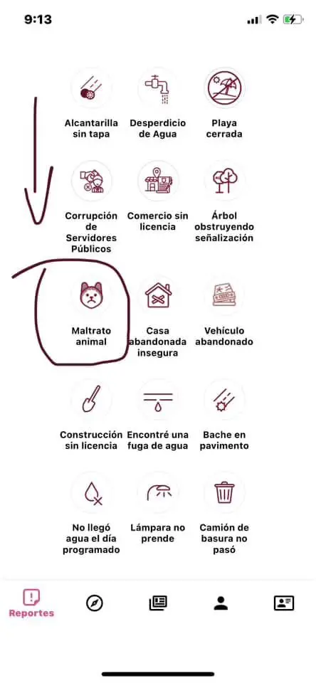 Pantallazo de dónde denunciar maltrato animal mediante 