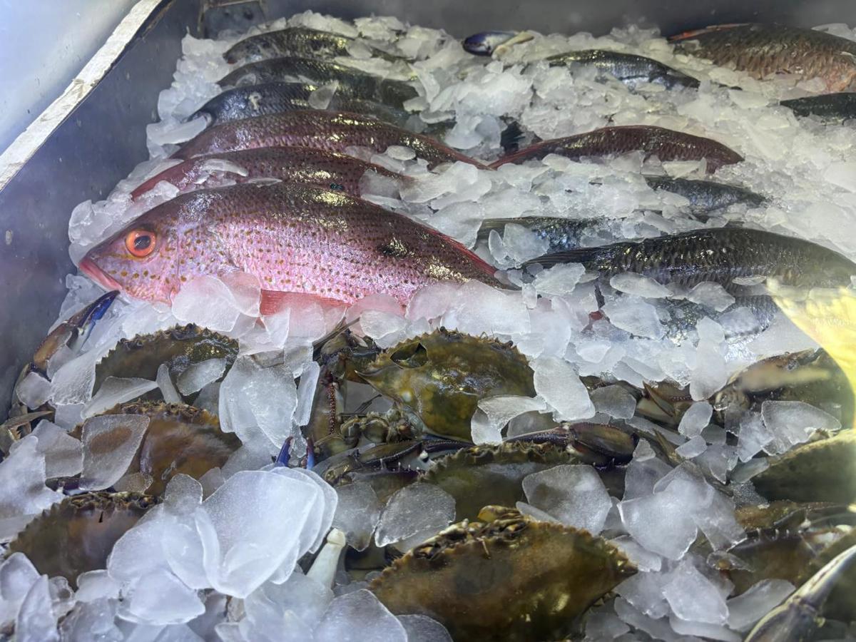 Venta de pescado en Los Cabos. Foto: Irving Thomas/POSTA BCS.